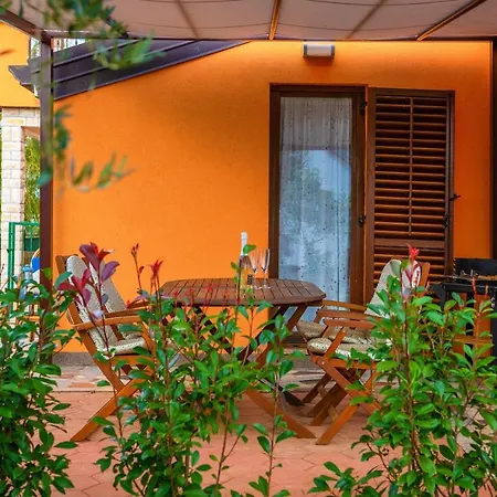 Oliva With Swimming Pool
