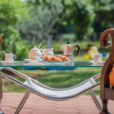 Oliva With Swimming Pool Апартаменты